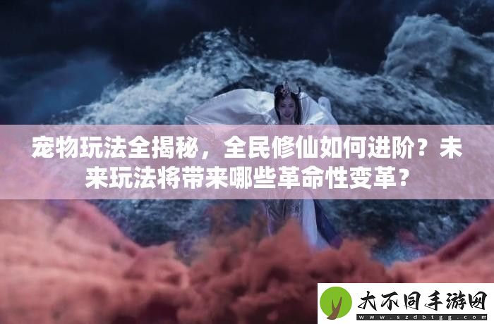 宠物玩法全揭秘