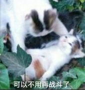 比起言弹论破