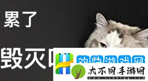 非主动颓废是什么梗网络用语-非主动颓废梗意思及出处分享