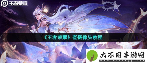 王者荣耀怎么查摄像头