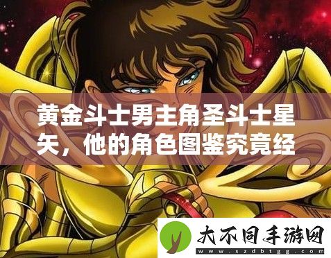黄金斗士男主角圣斗士星矢