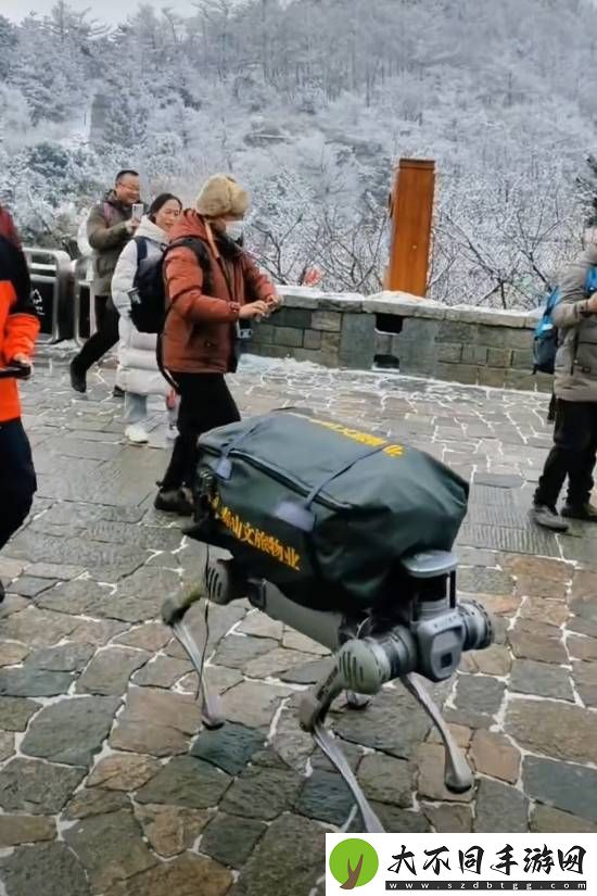 机器狗在泰山“入职”