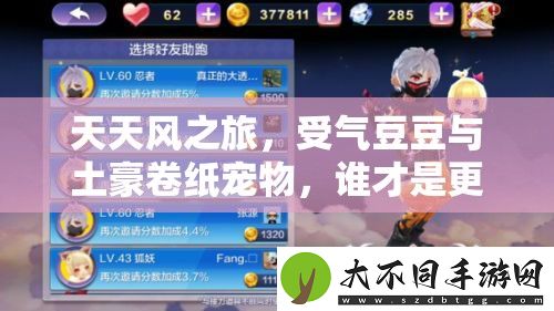 天天风之旅