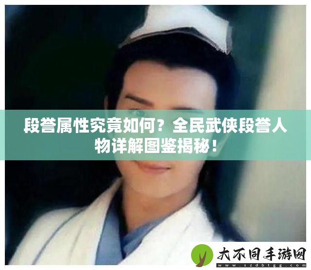段誉属性究竟如何