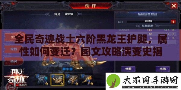全民奇迹战士六阶黑龙王护腿