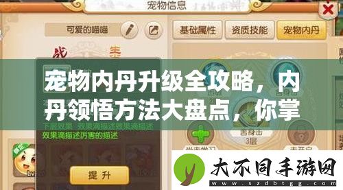 宠物内丹升级全攻略