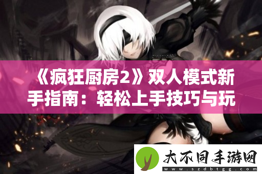 疯狂厨房2双人模式新手指南：轻松上手技巧与玩法分享