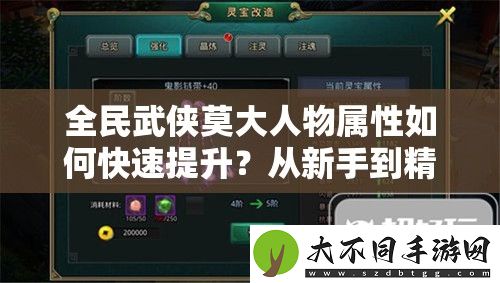 全民武侠莫大人物属性如何快速提升