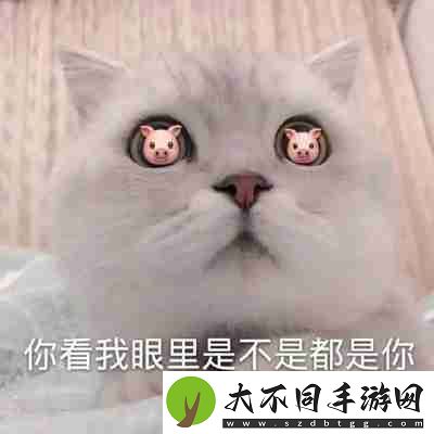 兜风吗妹妹表情包