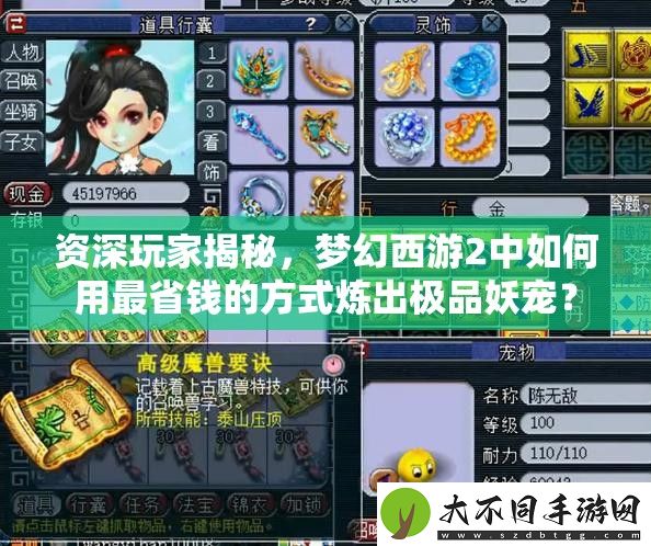 资深玩家揭秘