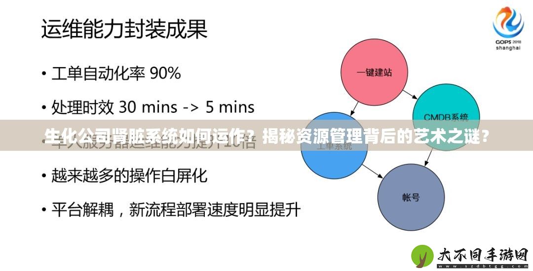 生化公司肾脏系统如何运作