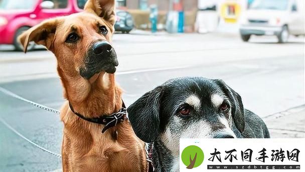 重温经典