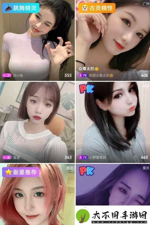 探索隐秘的数字世界