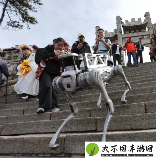 机器狗在泰山“入职” 背着重物嗖嗖爬山