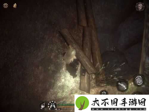 帕斯卡契约各地图青蛙赫吉都在哪？全面收集位置揭秘