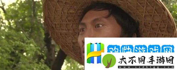 D加密—游戏界最坚固的盾