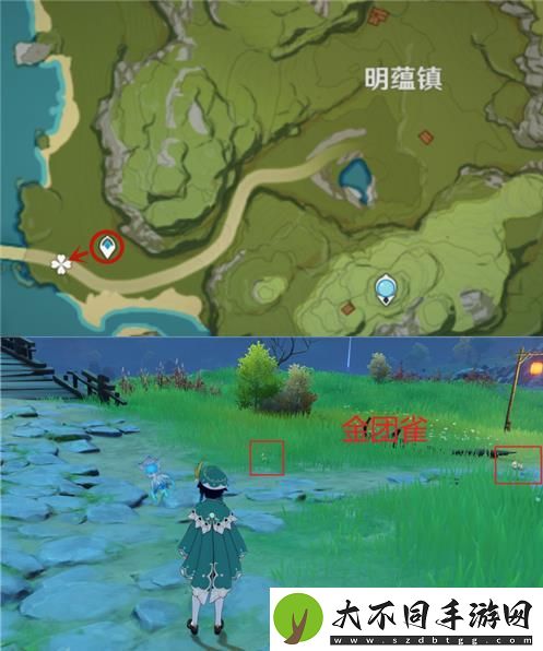 原神金团雀在哪里捕捉