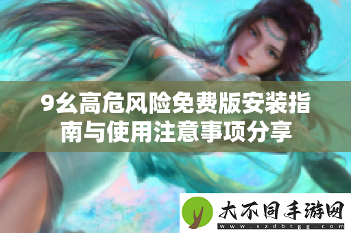 9幺高危风险免费版安装指南与使用注意事项分享