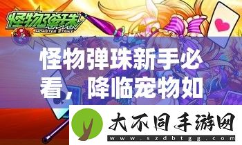 怪物弹珠新手必看