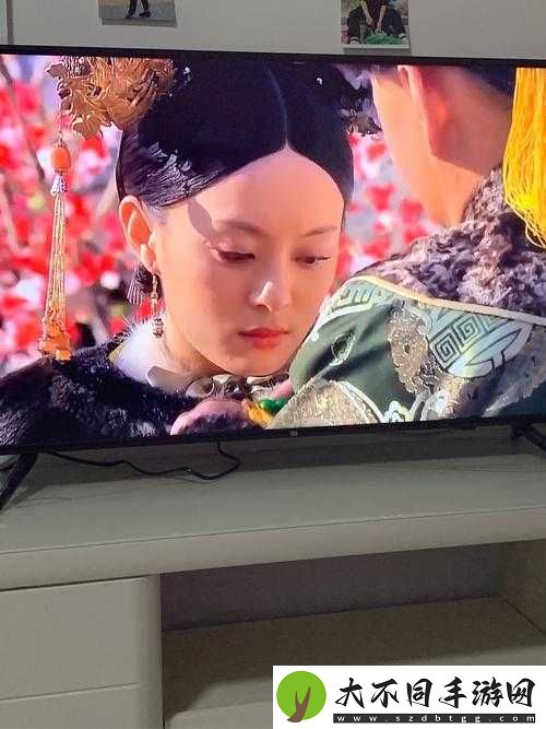 疯狂梗传四郎嬛嬛过大年