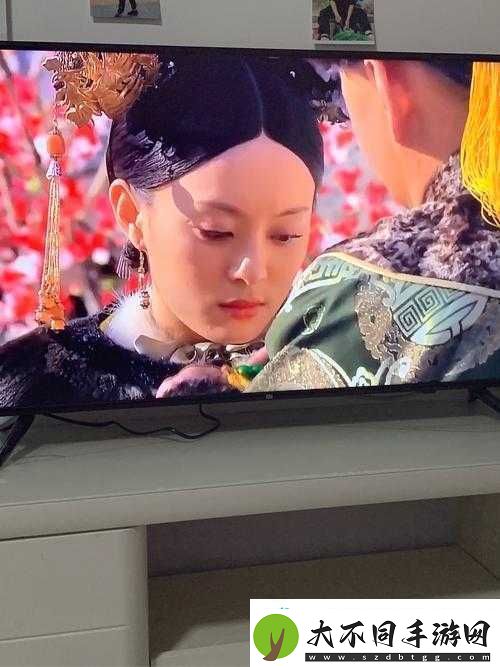 疯狂梗传四郎嬛嬛过大年