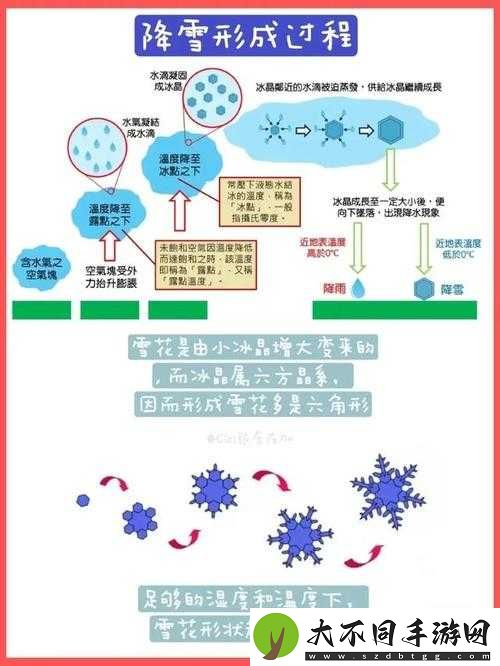 雪居之地雪球免疫机制是如何随着时间演变并产生悬念的？