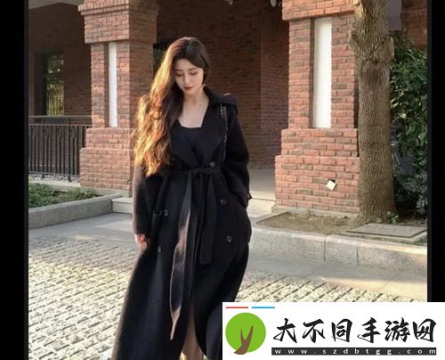 成品免费PPT网站入口