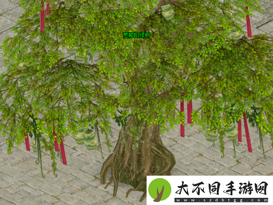 初春踏青游玩乐