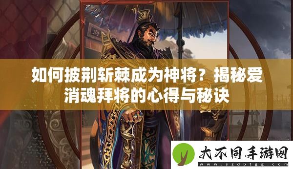 如何披荆斩棘成为神将