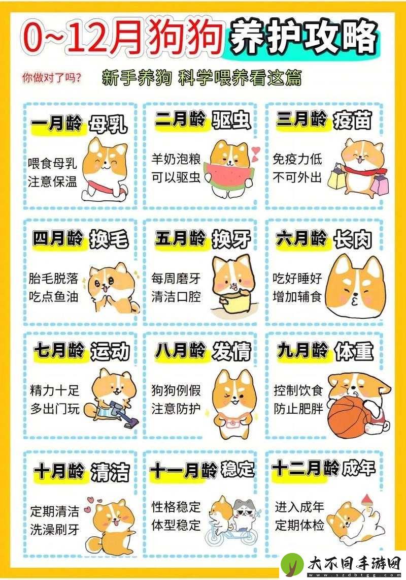 沙雕日常里修狗到底藏在哪？全面攻略帮你揭秘！