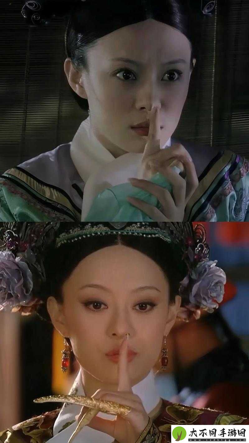 甄嬛传沙雕日常名场面如何攻略？揭秘底层逻辑到实战操作的深度疑问解析