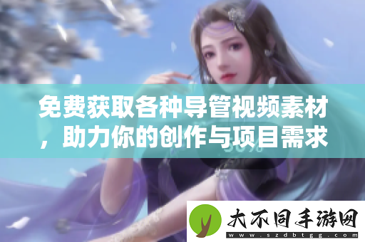 免费获取各种导管视频素材，助力你的创作与项目需求