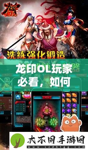 龙印OL玩家必看