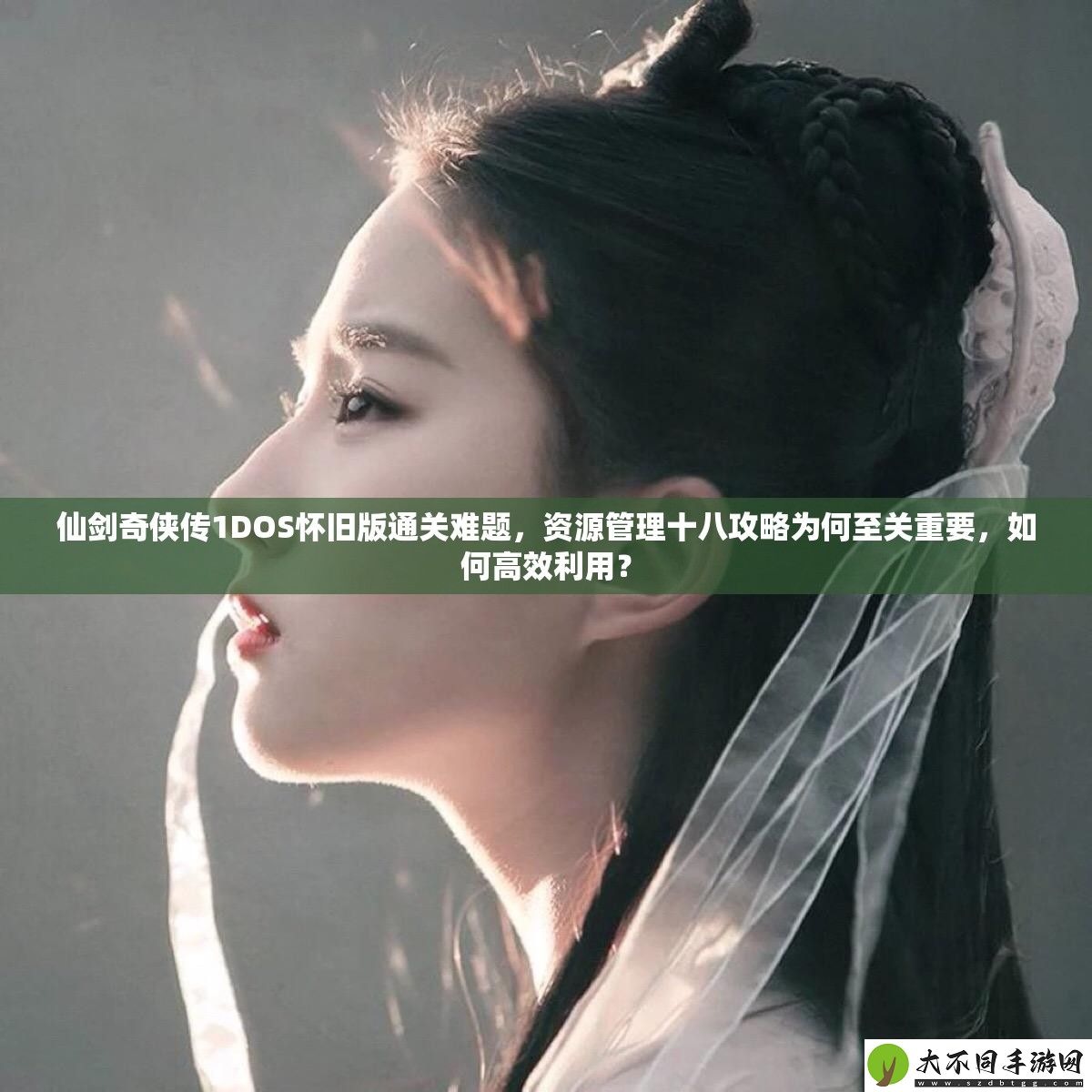 仙剑奇侠传1DOS怀旧版通关难题