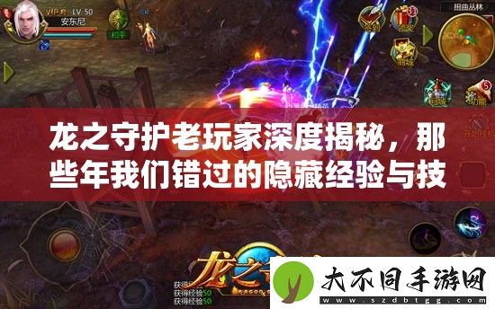 龙之守护老玩家深度揭秘