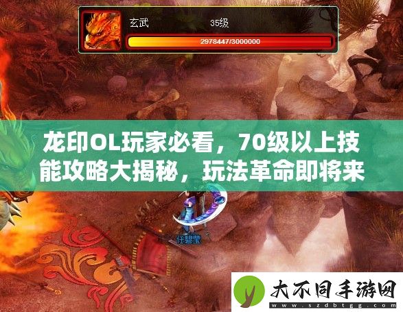 龙印OL玩家必看