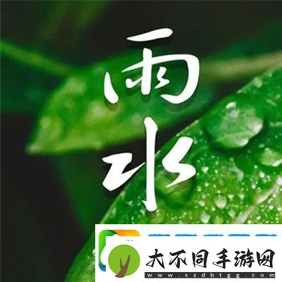 将界2第三集雷蕾打扑克｜将界2第三集雷蕾扑克盛宴
