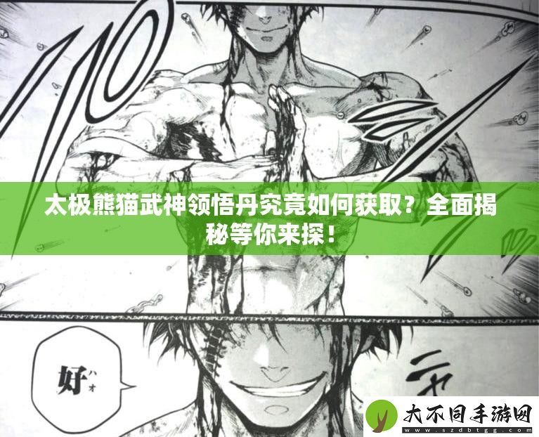 太极熊猫武神领悟丹究竟如何获取
