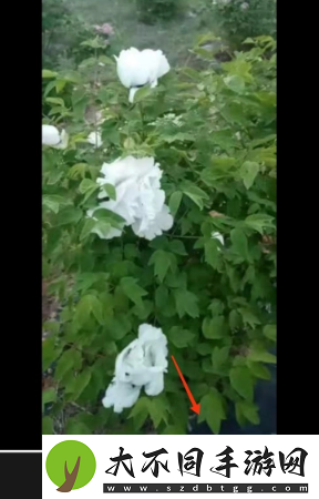 剪映已删除视频怎么找回