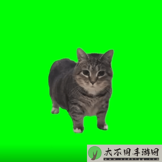 猫猫的奇幻漂流导演应中国粉丝要求 制作了魔性旋转猫