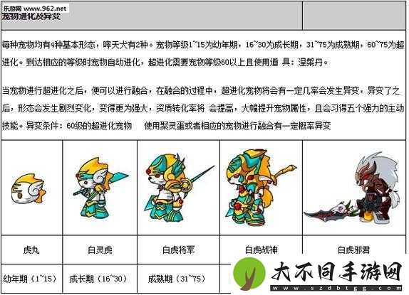 造梦西游OL宠物养成大揭秘，如何一步步培育出极品神宠？