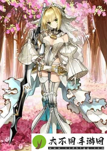 FGO花嫁尼禄实力如何