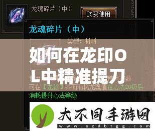 如何在龙印OL中精准提刀斩恶龙