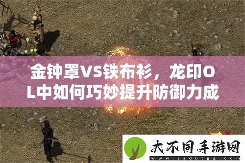 金钟罩VS铁布衫