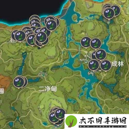原神帕蒂沙兰最佳采集路线2023揭晓