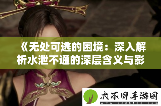 无处可逃的困境：深入解析水泄不通的深层含义与影响