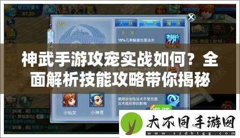 神武手游攻宠实战如何