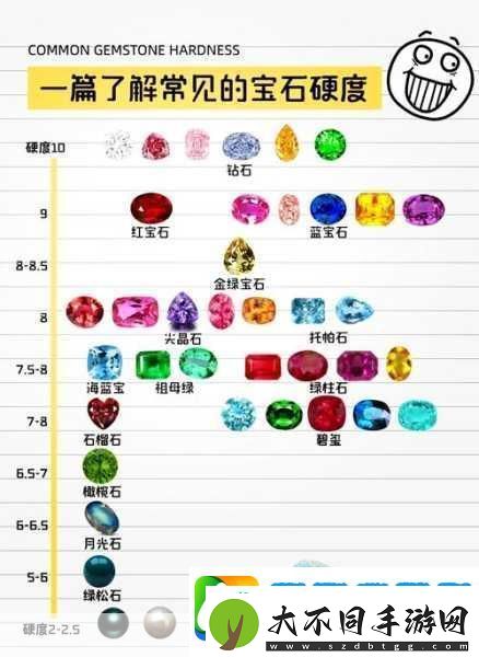 宝藏世界深度探索