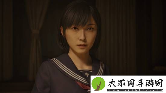 寂静岭f编剧：不介意这是我的最后作品