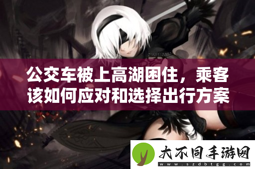 公交车被上高湖困住，乘客该如何应对和选择出行方案